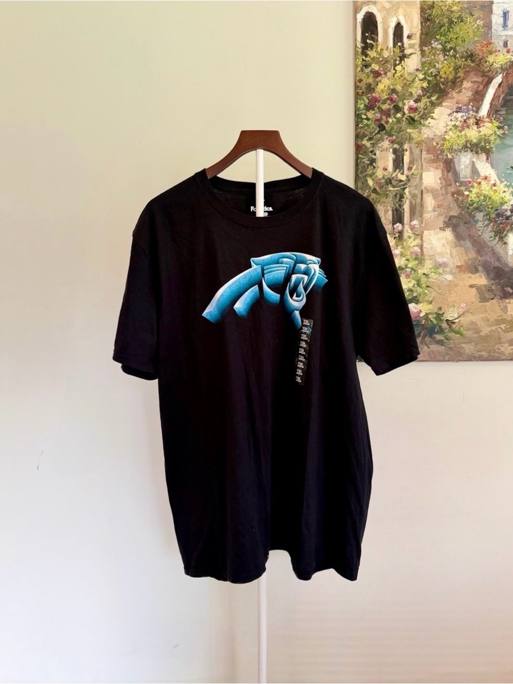 NWT NFL Carolina Panthers Black T-Shirt Men’s XL Official Licensed Graphic Tee